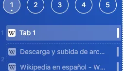 Custom name in the list